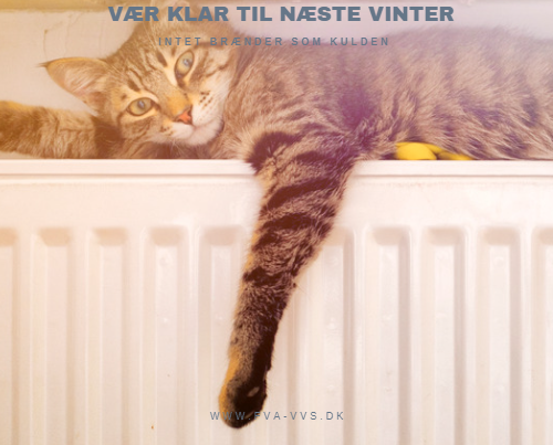 undgå at fryse om vinteren